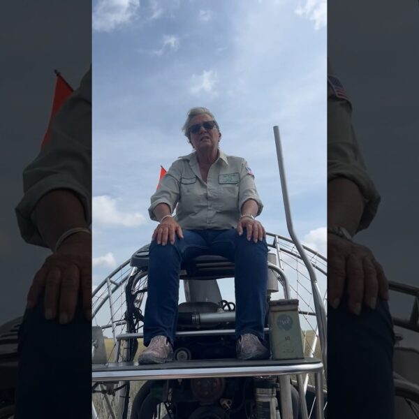🐊Airboating in the Florida Everglades - do it at least once! #floridaeverglades #livinginflorida