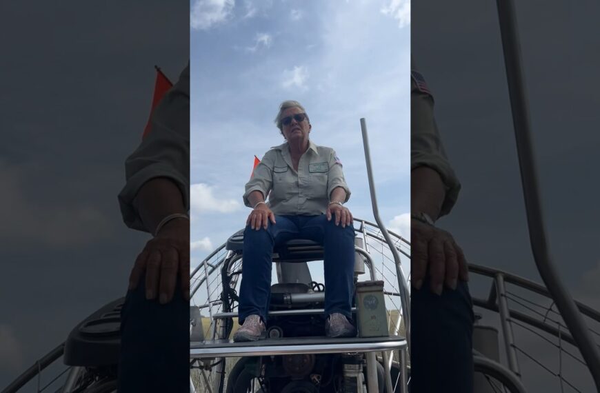 🐊Airboating in the Florida Everglades - do it at least once! #floridaeverglades #livinginflorida