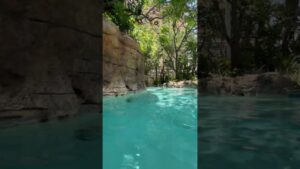 ☀️Relaxtion day on the lazy river☀️#staycation #livinginflorida