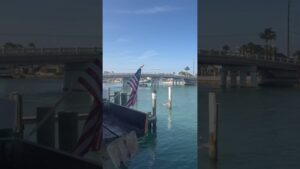 ☀️Not a bad view for dinner #floridafoodie #livinginflorida