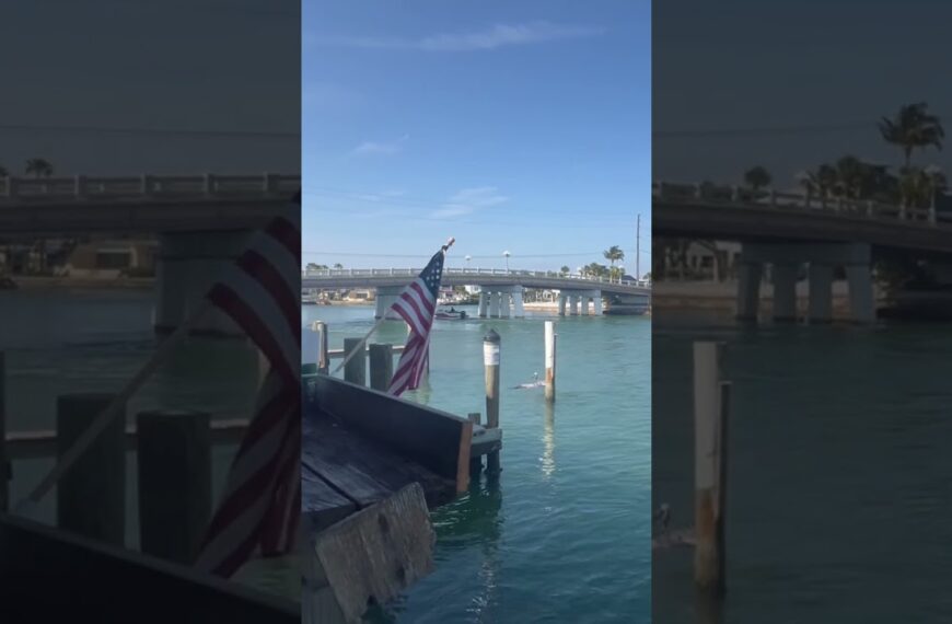 ☀️Not a bad view for dinner #floridafoodie #livinginflorida