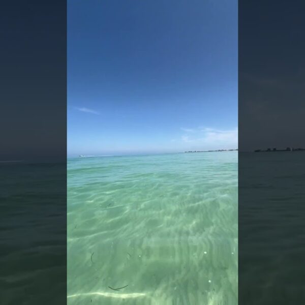 🏝️Sand. Sun. Water. Feeling grounded #livinginflorida #movetotampa