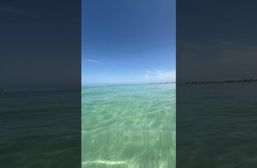 🏝️Sand. Sun. Water. Feeling grounded #livinginflorida #movetotampa