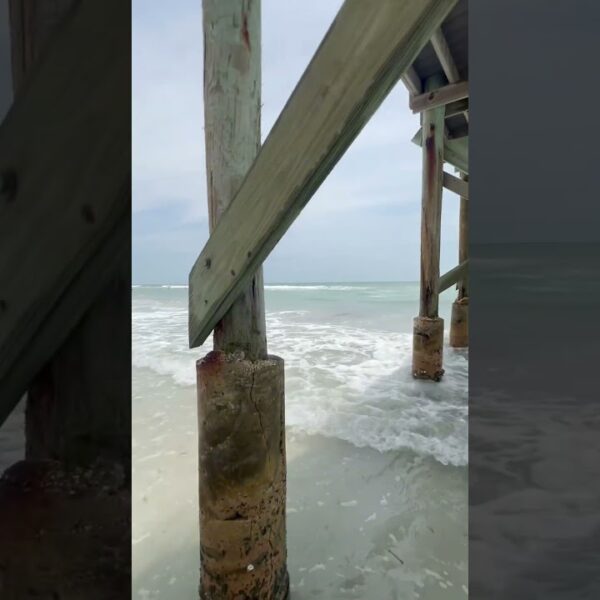 ☀️The only shade is under the pier☀️ #floridabeach #floridalifestyle
