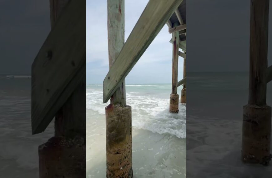 ☀️The only shade is under the pier☀️ #floridabeach #floridalifestyle