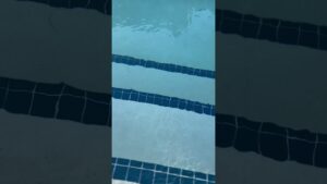 ☀️Enjoy the staycay opportunities whe you live in Florida☀️#floridalife #movetotampa