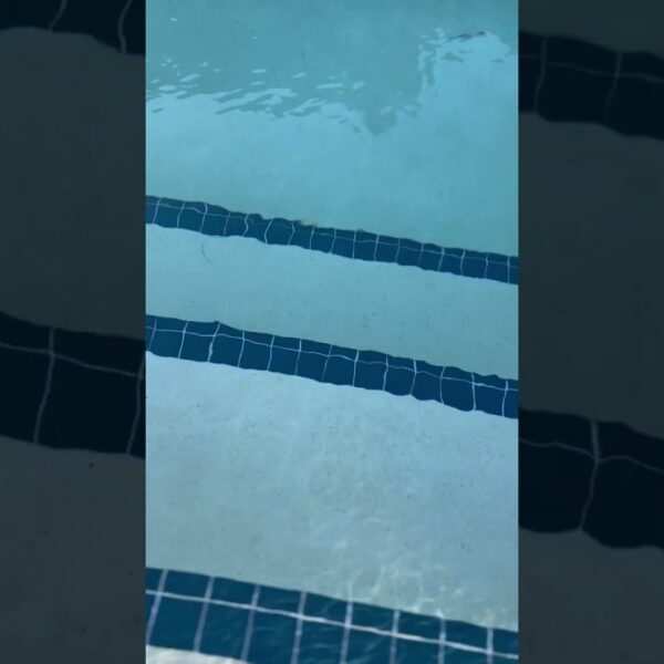 ☀️Enjoy the staycay opportunities whe you live in Florida☀️#floridalife #movetotampa