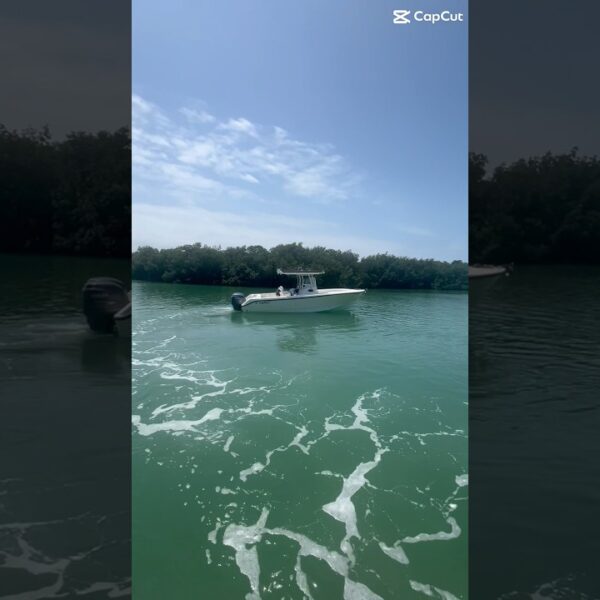 ☀️Exploring parts of the sunshine state is the best part of living here #floridalife #movetoflorida