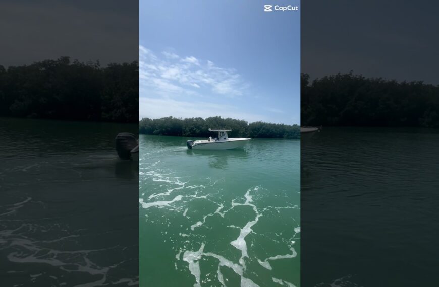 ☀️Exploring parts of the sunshine state is the best part of living here #floridalife #movetoflorida