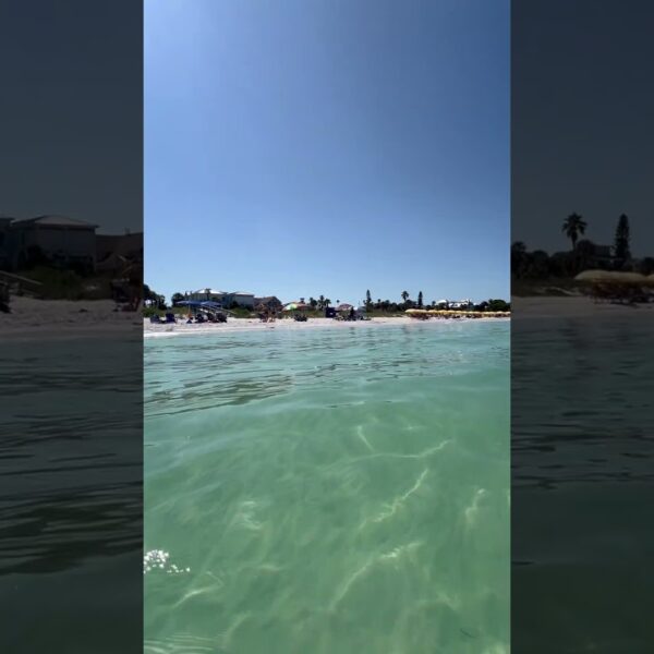 ☀️One of the best beaches is a short drive from Tampa☀️What’s your favorite beach? #floridalife