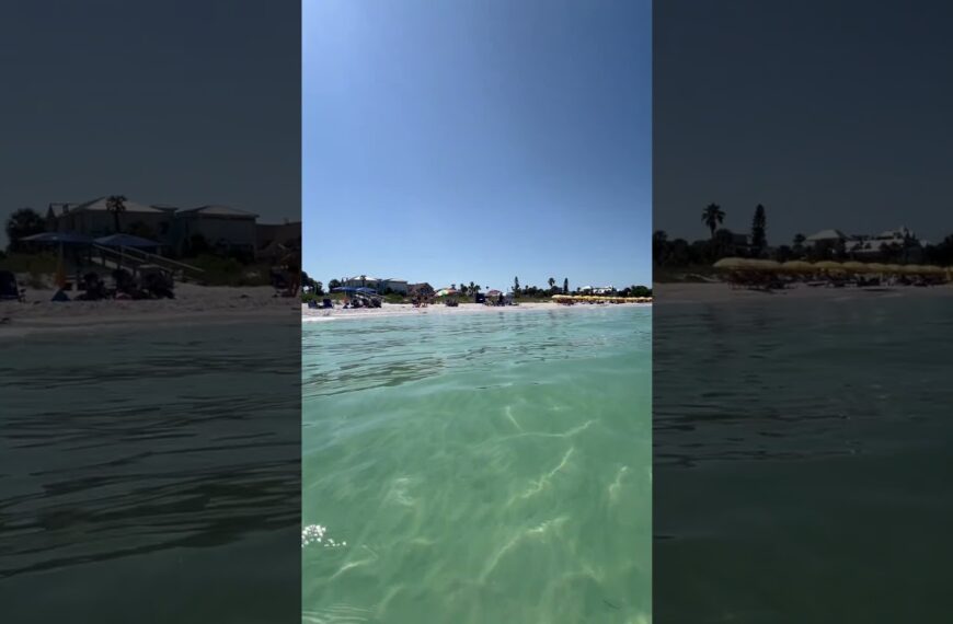 ☀️One of the best beaches is a short drive from Tampa☀️What’s your favorite beach? #floridalife