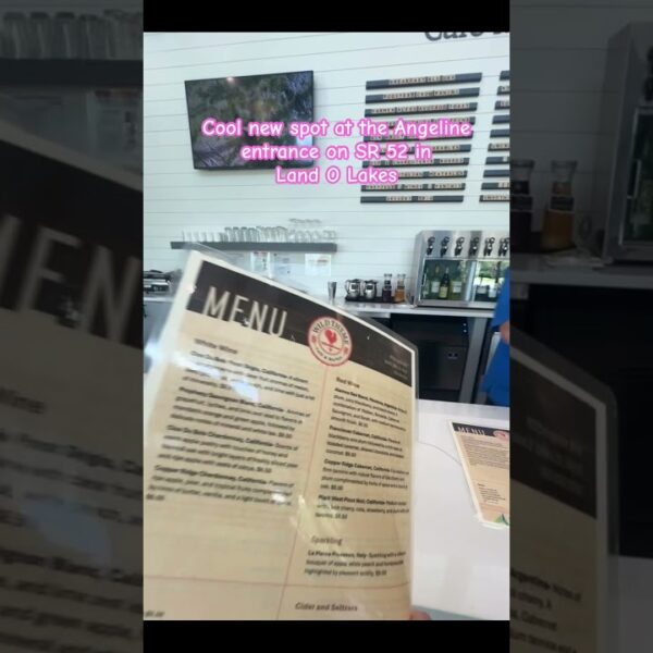 ☀️Check out this new spot in Land O Lakes #landolakes #pascocounty