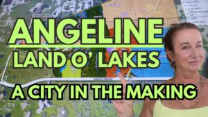 Land O Lakes, FLORIDA'S Best NEW community, ANGELINE