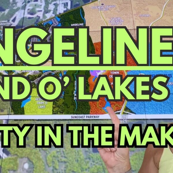 Land O Lakes, FLORIDA'S Best NEW community, ANGELINE