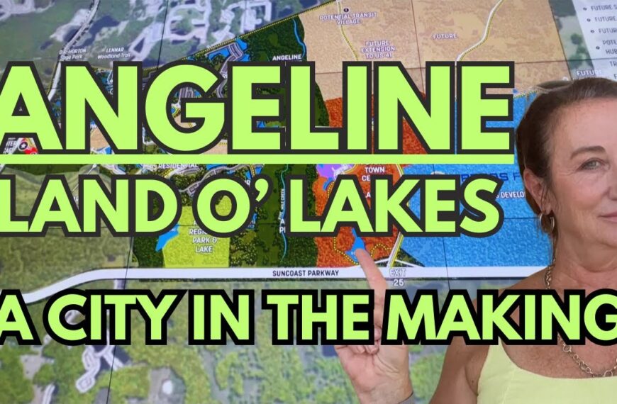 Land O Lakes, FLORIDA'S Best NEW community, ANGELINE
