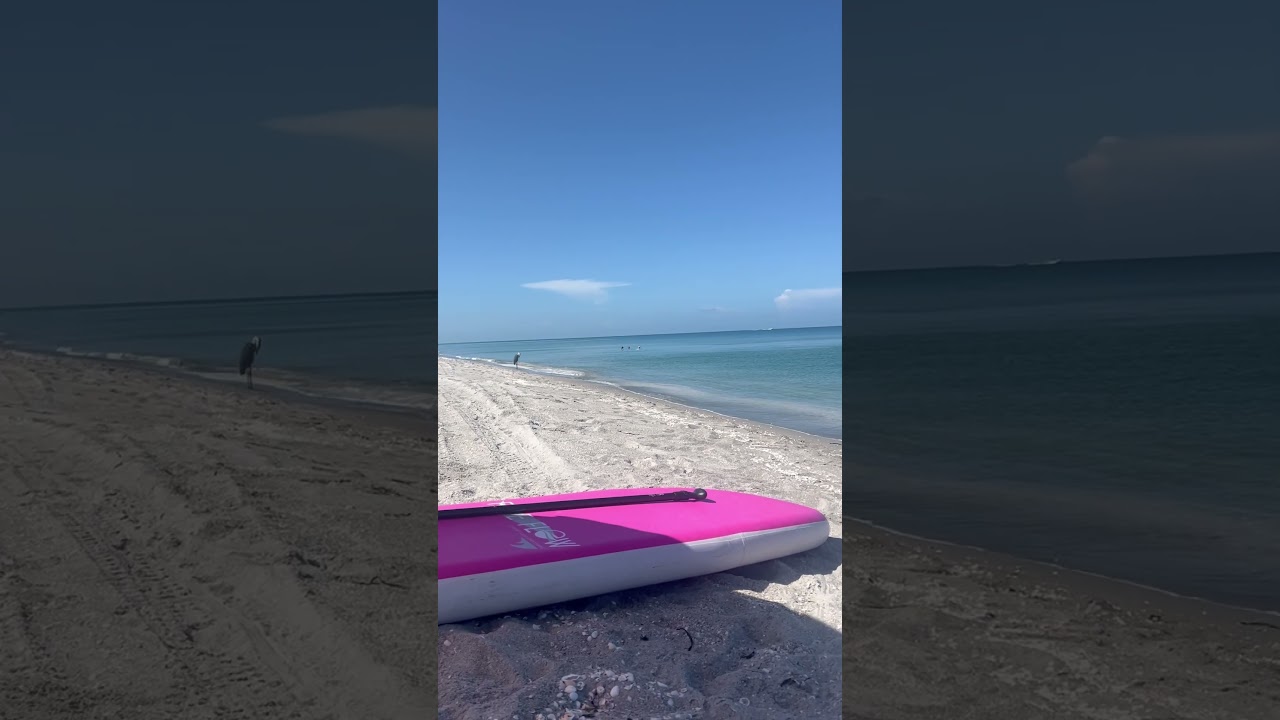Waiting for the fireworks, I mean dolphins🐬#livinginflorida #floridabeach