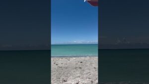 Somewhere on the gulf coast of Florida☀️ #floridabeach #livinginflorida
