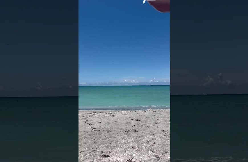 Somewhere on the gulf coast of Florida☀️ #floridabeach #livinginflorida