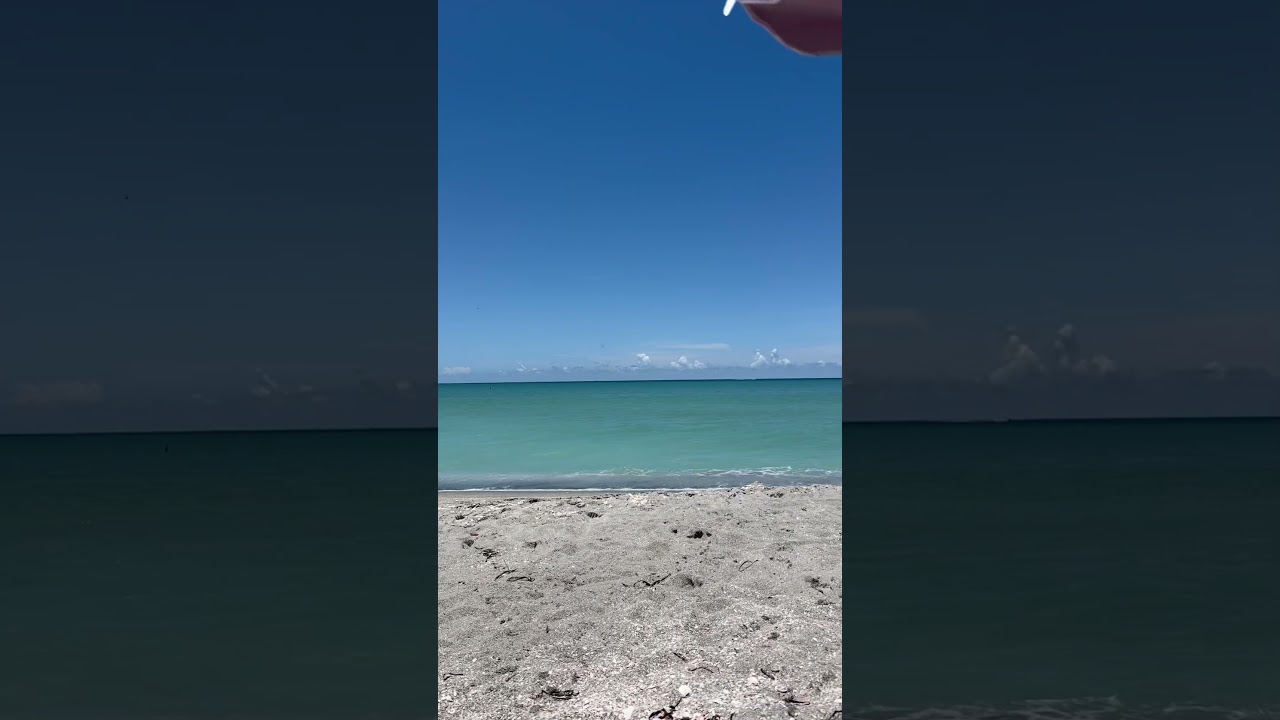 Somewhere on the gulf coast of Florida☀️ #floridabeach #livinginflorida