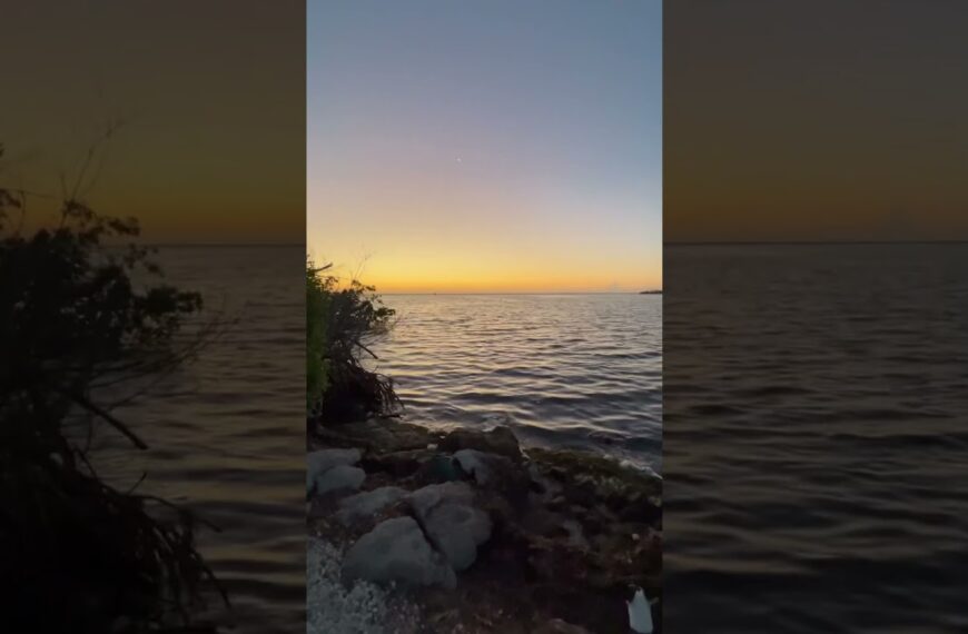 Sunrise with these two never gets old☀️#floridabeauty #floridalifestyle