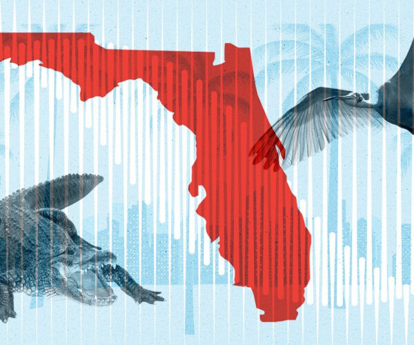 Florida’s Real Estate Market Is Divided: What To Know If You’re Buying or Selling in the Sunshine State