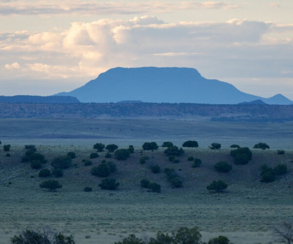 One of America’s Biggest Ranches Is Hitting the Market for $142 Million