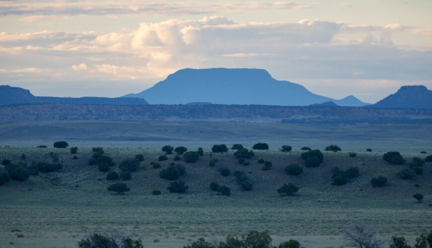One of America’s Biggest Ranches Is Hitting the Market for $142 Million