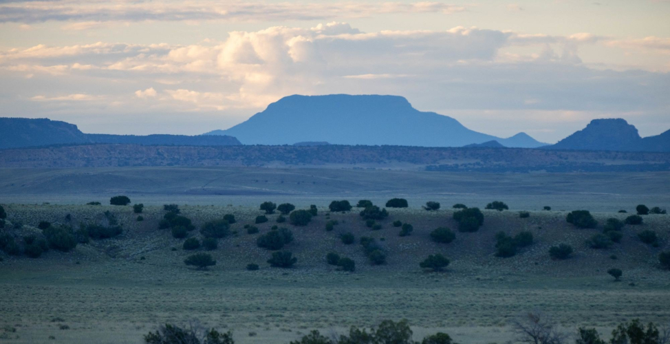 One of America’s Biggest Ranches Is Hitting the Market for $142 Million
