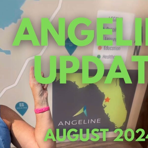 ANGELINE Land O Lakes FL SINGLE FAMILY Homes