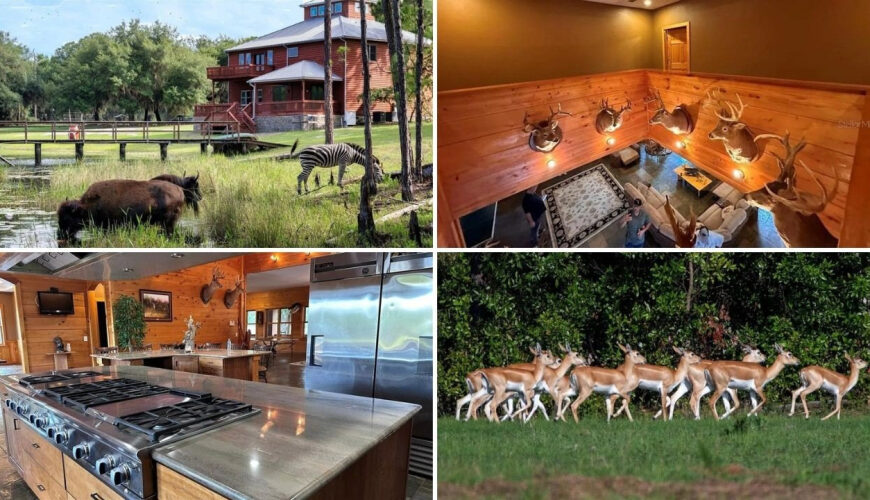 $7.9M Florida Ranch Hits the Market With Exotic Animals Included
