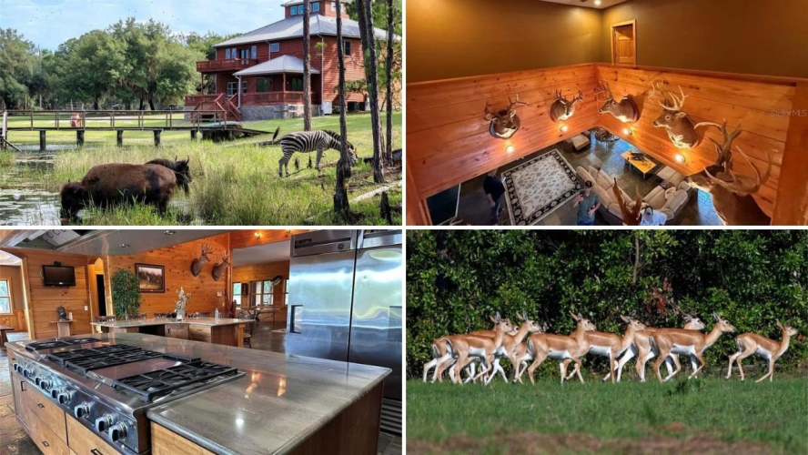 $7.9M Florida Ranch Hits the Market With Exotic Animals Included