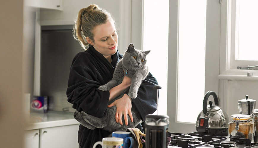 The Cost of Pet Rent Is Rising—and Contributing to a Crisis