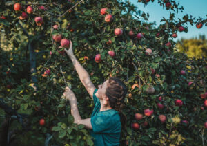 One of the Hottest ZIP Codes in the Country Is Apple-Obsessed