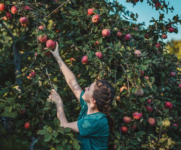 One of the Hottest ZIP Codes in the Country Is Apple-Obsessed