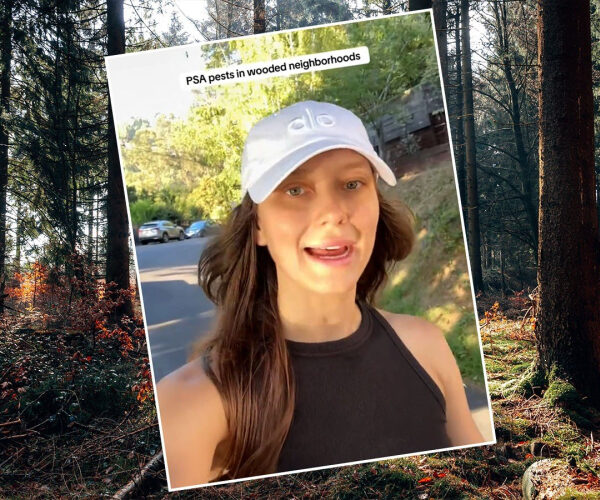 Woman Issues Warning About Buying a Home in the Woods