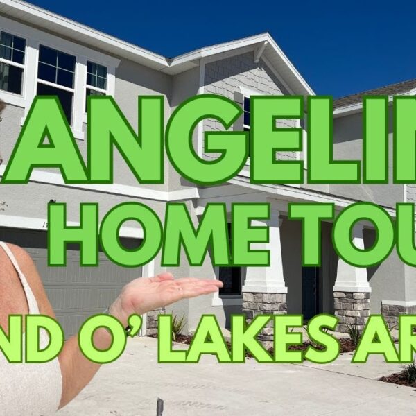 ANGELINE Florida Homes for Sale First Look |  Near NEW MOFFITT SPEROS | Land O Lakes