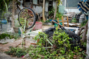 Your Neighbor’s Junk Can Tank Your Property Value—Here’s What To Do