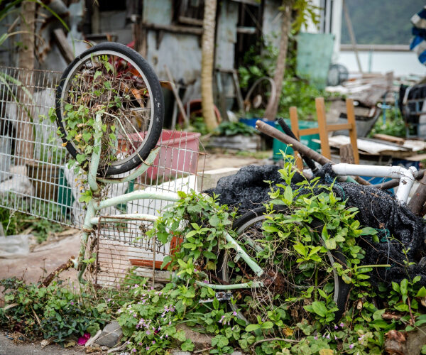 Your Neighbor’s Junk Can Tank Your Property Value—Here’s What To Do