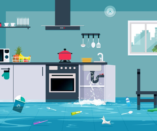 5 Immediate Things You Should Do If Your House Floods