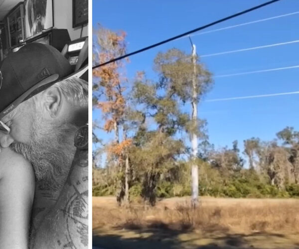 Couple’s Dream of Building Family Home on $17,500 Florida Land Is Destroyed Because of a Utility Pole