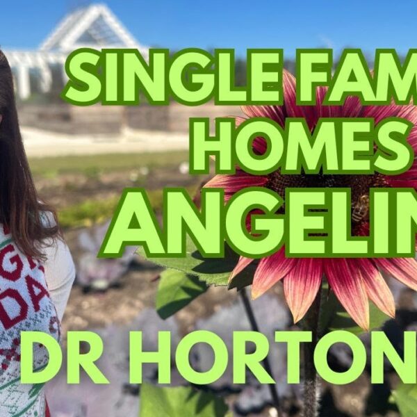 Homes in ANGELINE by DR HORTON Land O Lakes
