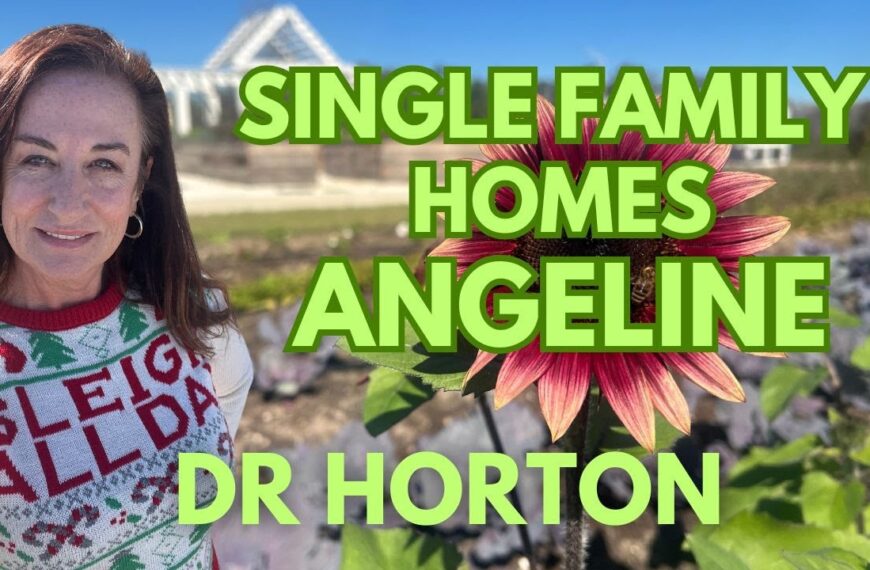 Homes in ANGELINE by DR HORTON Land O Lakes