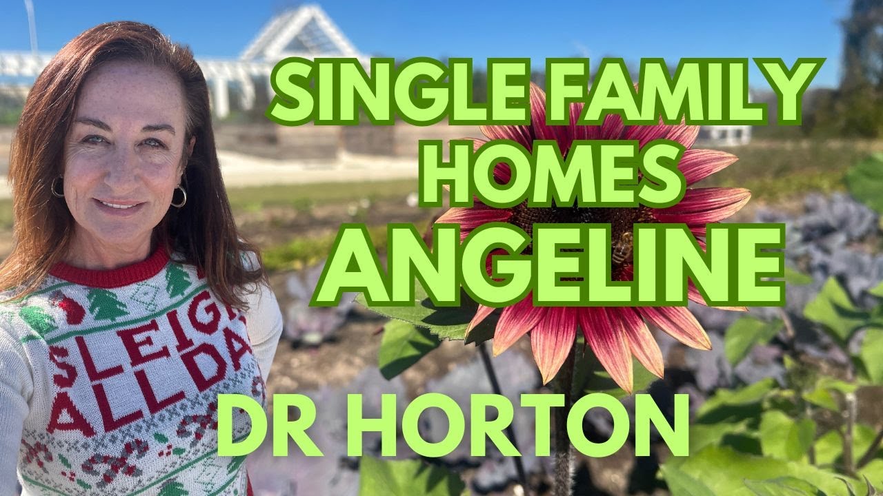 Homes in ANGELINE by DR HORTON Land O Lakes