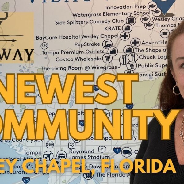 VIDAS WAY Wesley Chapel Florida BEST New Homes