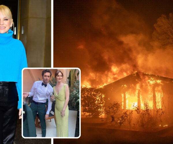 Anna Faris’s $5 Million Home Destroyed In L.A. Wildfires-as Adam Brody and Leighton Meester Also Lose Their $6.5 Million House