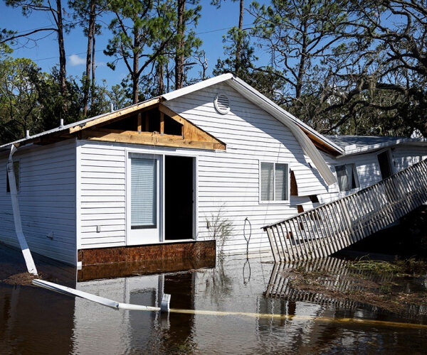 Florida Insurers Have Paid Just Half of Claims From Hurricanes Milton and Helene-Home Insurance CEO Explains Why