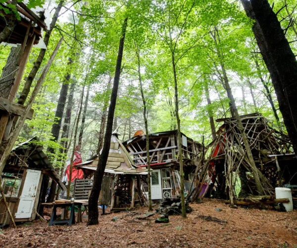 Artist Lists Ramshackle Off-Grid Retreat in the Catskills Wilderness for $269K