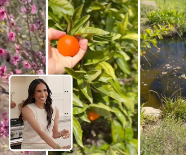 Meghan Markle Shares a Rare Glimpse Inside Her Picturesque Backyard at $14.65 Million Montecito Home