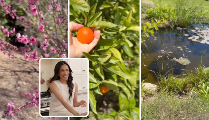 Meghan Markle Shares a Rare Glimpse Inside Her Picturesque Backyard at $14.65 Million Montecito Home