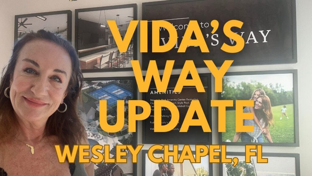 Discover Vidas Way In Wesley Chapel Florida